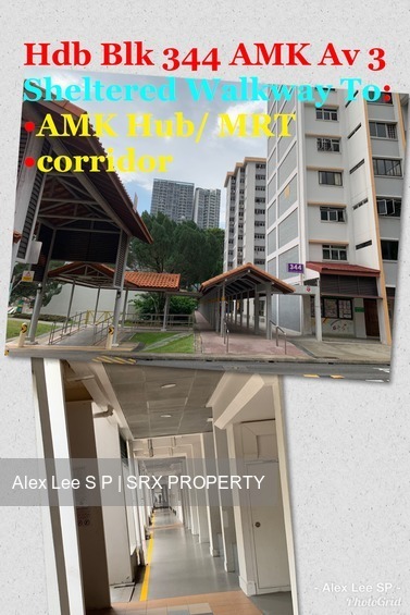 Blk 344 Ang Mo Kio Avenue 3 (Ang Mo Kio), HDB 4 Rooms #203523931